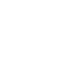 Wordpress Modülleri